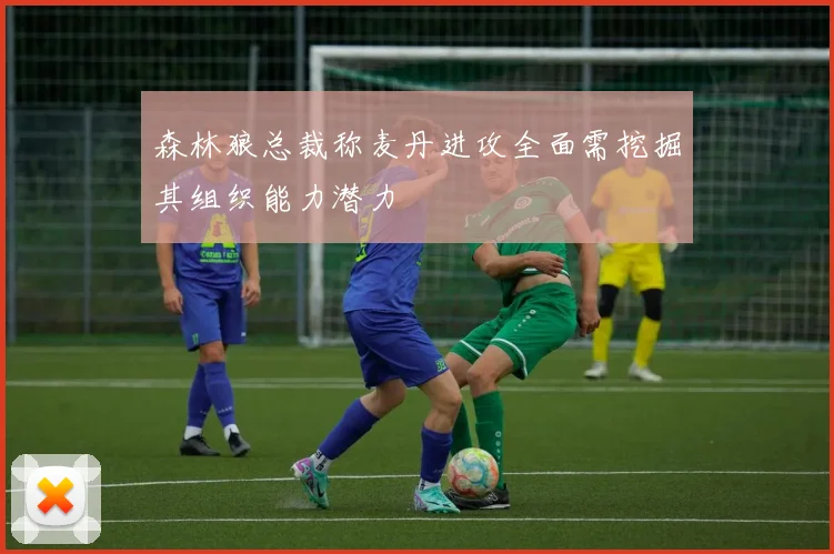 森林狼总裁称麦丹进攻全面需挖掘其组织能力潜力