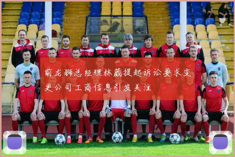 前龙狮总经理林葳提起诉讼要求变更公司工商信息引发关注