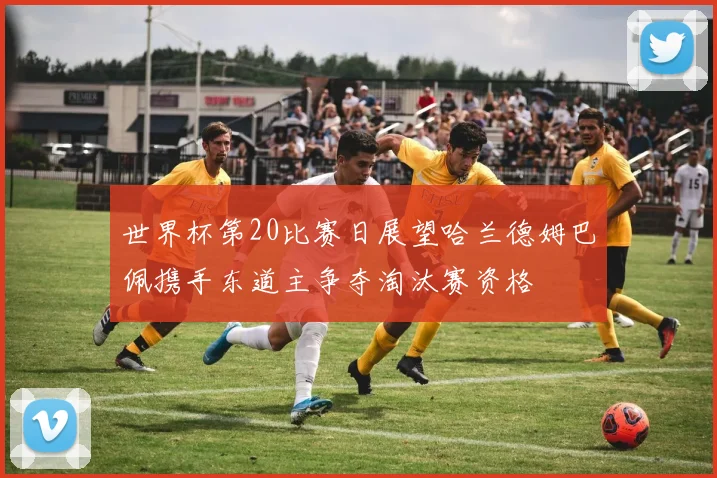 世界杯第20比赛日展望哈兰德姆巴佩携手东道主争夺淘汰赛资格