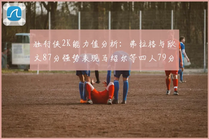 独行侠2K能力值分析：弗拉格与欧文87分强势表现马绍尔等四人79分展现潜力