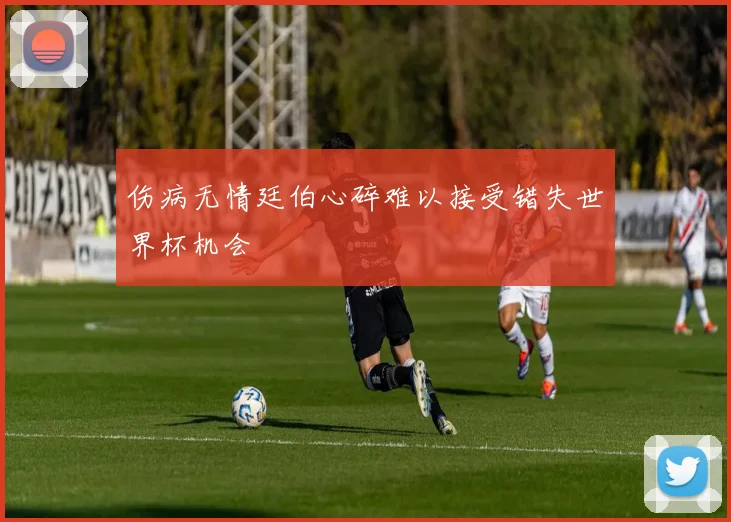 伤病无情廷伯心碎难以接受错失世界杯机会